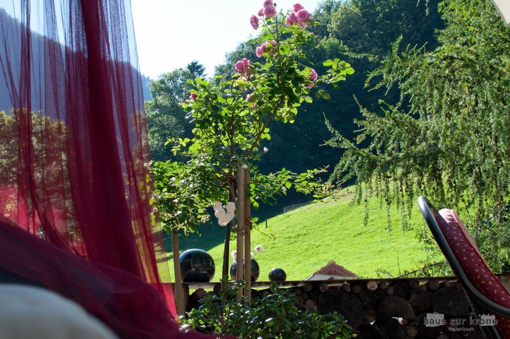 B&B Haus Zur Krone Oberriet Buitenkant foto